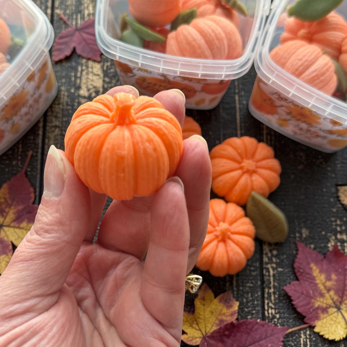 Pumpkin Patch Wax Melts -Choose Scent