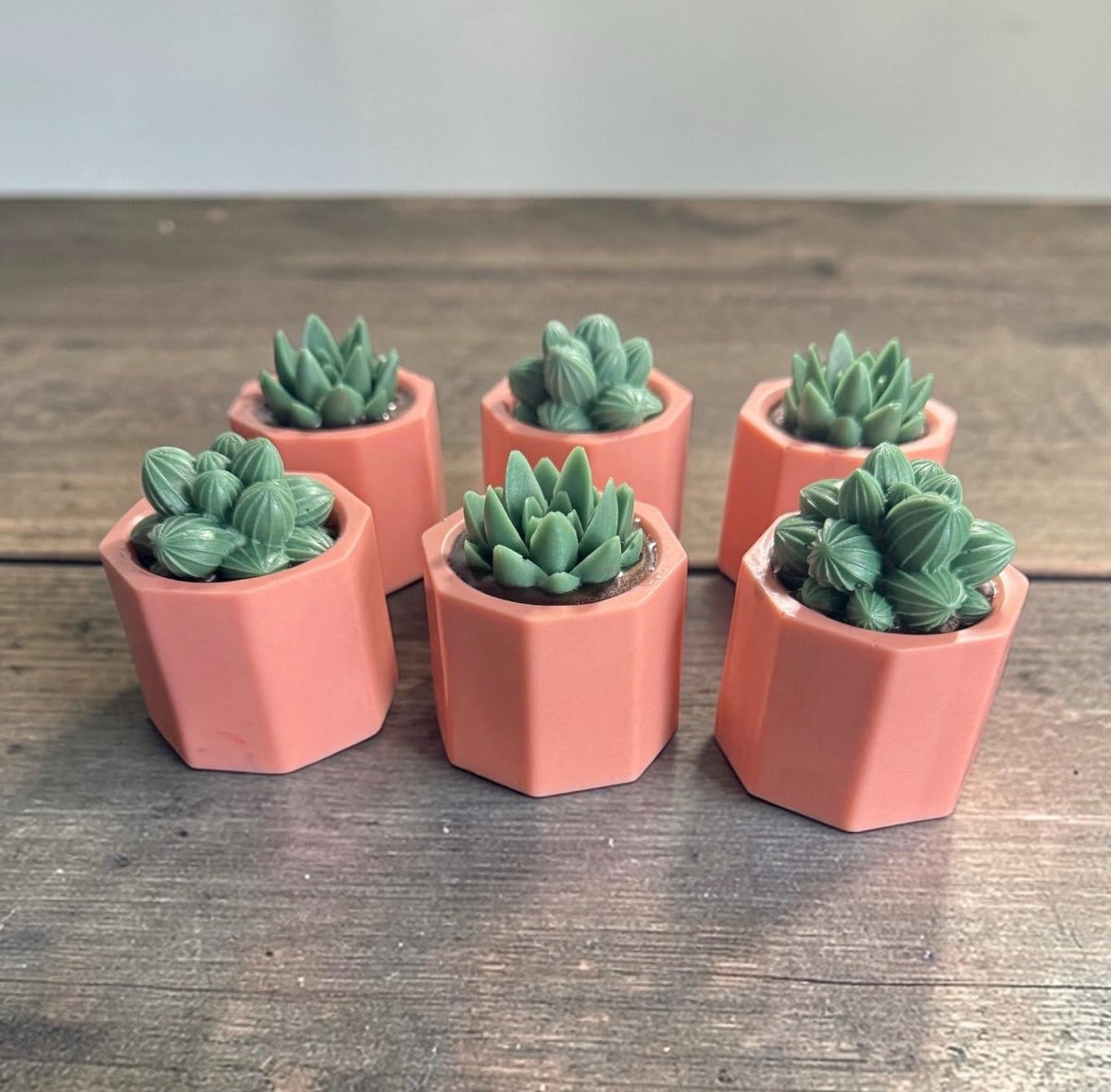 Potted Succulents Soap Made with Goat Milk . Scented in Cactus Blossom