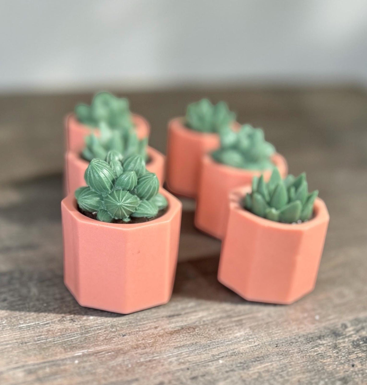 Potted Succulents Soap Made with Goat Milk . Scented in Cactus Blossom