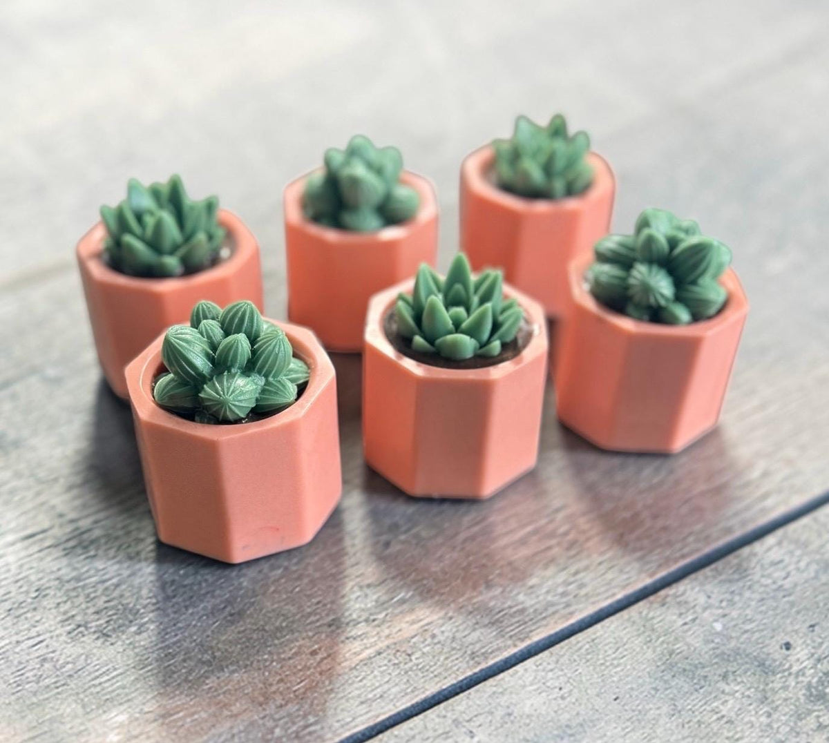 Potted Succulents Soap Made with Goat Milk . Scented in Cactus Blossom