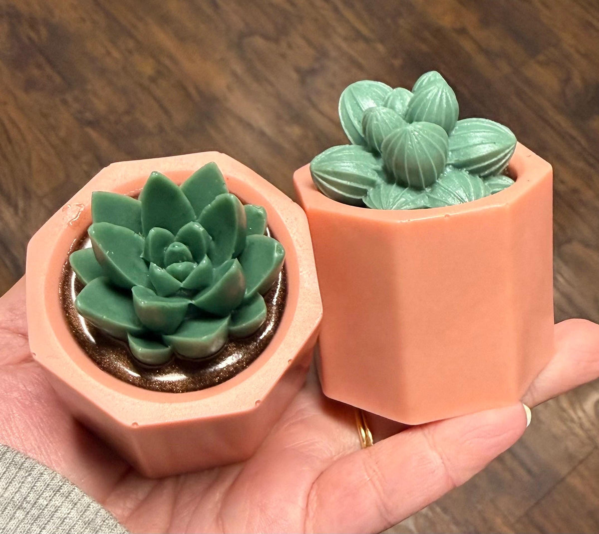 Potted Succulents Soap Made with Goat Milk . Scented in Cactus Blossom