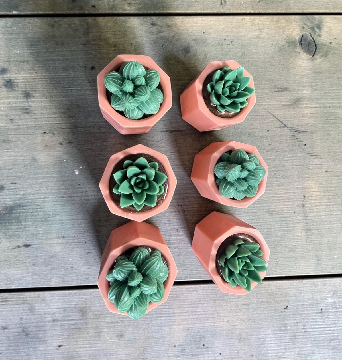 Potted Succulents Soap Made with Goat Milk . Scented in Cactus Blossom